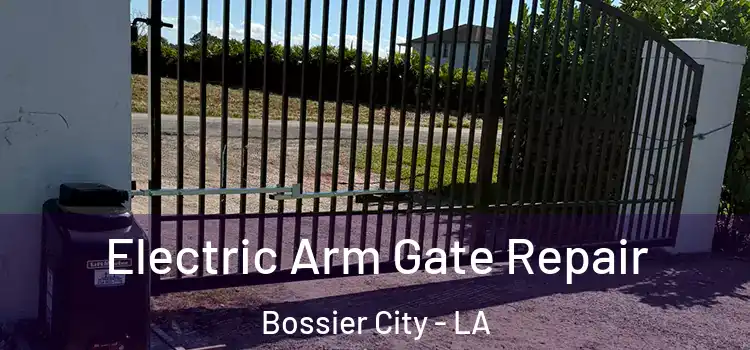 Electric Arm Gate Repair Bossier City - LA