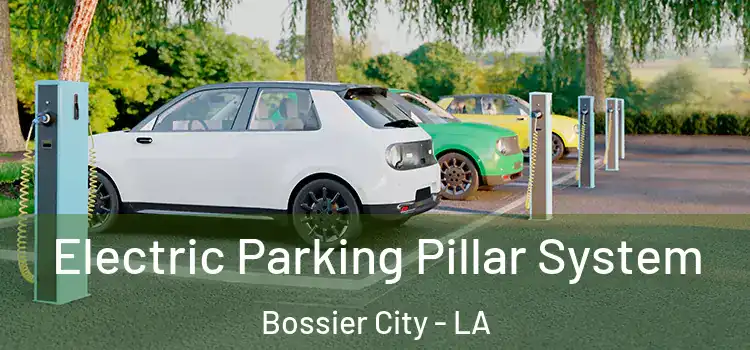 Electric Parking Pillar System Bossier City - LA