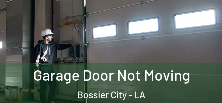  Garage Door Not Moving Bossier City - LA