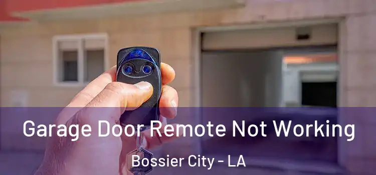  Garage Door Remote Not Working Bossier City - LA