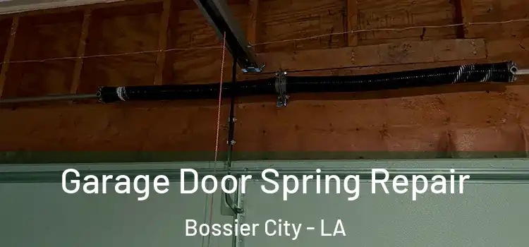  Garage Door Spring Repair Bossier City - LA