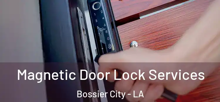 Magnetic Door Lock Services Bossier City - LA