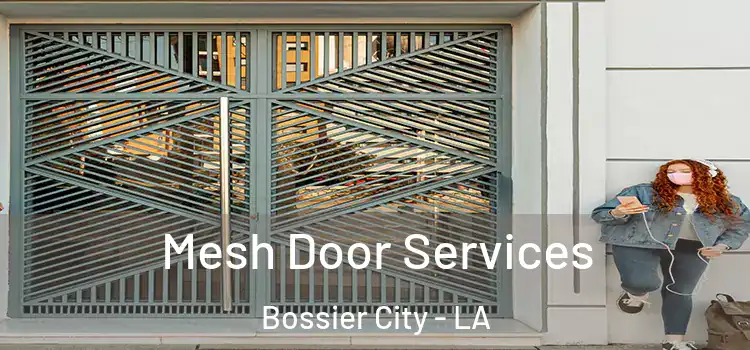 Mesh Door Services Bossier City - LA