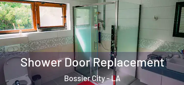 Shower Door Replacement Bossier City - LA